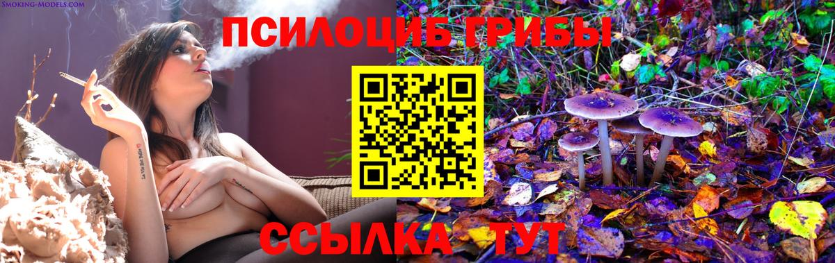 Похвистнево  где купить   Вход с VPN  Псилоцибиновые грибы Magic Shrooms 